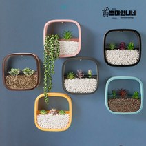 스퀘어 사각 행잉 플랜트 벽걸이 인테리어 벽 화분 수경 마리모 어항 집들이 액자화분 선물, 브라운