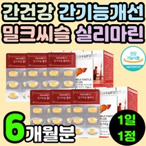 30대 남성 여성 간에 좋은 영양제 밀크시슬 추출물 가시 엉겅퀴 밀크씨슬 밀크티슬 밀크씨유 간 건강 수치 만성 피로 기력 회복 체력 기능 보조 개선 식품 중년 여자 남자 시리마린