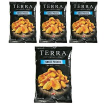 테라칩스 베지터블 칩 스위트 포테이토 씨 솔트, 170g, 4개