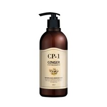 에스테틱하우스 CP 1 진저 샴푸 500ml, 헤어케어/CP-1 진저 샴푸 500ml, 헤어케어/CP-1 진저 샴푸 500ml
