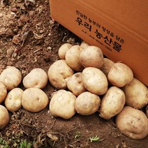 세상모든농부 포슬포슬 맛있는 감자 햇감자 수미감자 카스테라 홍감자, 10kg, 1개, 중(통구이용)