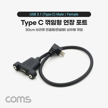 두바이_미니샵_Coms USB 3.1 Type C 케이블 30cm C타입 to 브라켓 연결용 나사 고정형 전면꺾임 C포트 형연장 C형 판넬형 형C 용포트 TYPEC 젠더  mingpin*, #합리적선택  