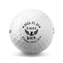 39 이글 기념 골프공 로고 인쇄 소량 제작 (6구), 브리지스톤 투어 B XS 6구 화이트, B