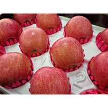 청송 꿀사과 부사 아침 사과 가정용 5kg 10kg [과수원직계약 착한금액], 5kg 중과(15~19과)