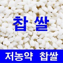 저농약/찹쌀5kg//10kg 강화섬쌀 당일도정 따끈따끈햅쌀출시!!, 22년저농약/찹쌀10kg, 1