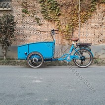 세발 전기자전거 네덜란드산 성인용 삼륜 카고 바이크 페달 전기 버전 36V 250W 3 륜 블루 핑크 그린 색상, 01 Pedal FOB, 한개옵션1