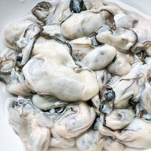 [자연맛남] 국내산 통영 최상급 생굴 1kg, 단품