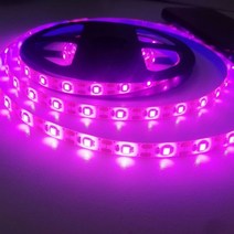 6평농막 유리온실 스마트팜 유리 온실 비닐하우설치 농막주택 비닐하우스자재 아크릴 온실 비닐하우스 농막 가정용스마트팜 유리온실하우스 유리온실 하우스 성장 빛 식물 램프 스트립 꽃, 보라색, 5m, 방수