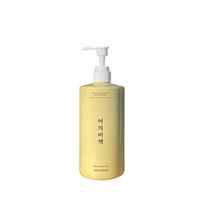 어의비책 탈모 증상 완화 샴푸, 2개, 500ml