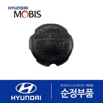 그랜저TG 브레이크오일 캡 (탱크 통 뚜껑 덮개 마개) (2006-2010)