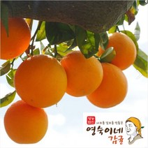 좋은것만 골라담은 가정용 황금향 5kg 10kg (제주 감귤전문영농인발송), 가정용 황금향 5kg 중대과