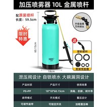 등짐펌프 강력한 분무기 살충제 물을 꽃 물을 깡통, 10l 금속 스프레이 로드 + 플라스틱 스프레이
