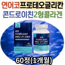 프로테오글리칸 2형콜라겐 콘드레이친 중장년 JOINT 노인 부모님 추천 연어코연골 콘드로이친 보스웰리아 60대 70대 80대 시니어 어르신 프로테오클리칸 글루코사민 NAG 구절초