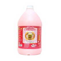 래브라도리트리버 순한 아기 강아지 포메니안 펫샴푸 750ml 포메리안 강아지피부관리 포메라니안, 1개