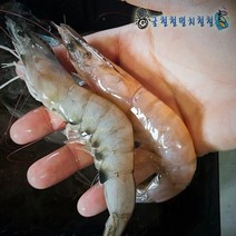 싱싱 왕새우 대짜, 1개, 새우1kg 35미내외 급냉