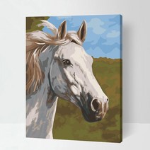 달리는 말 그림 모음 물가 역동 대형 유화그리기세트, 40 x 50_도구포함, LSB6470