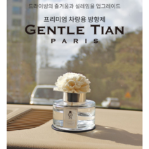 젠틀티안 차량용 디퓨저 100ml 본품 + 꽃스틱 + 논슬립패드 + 패키지박스, 시그니처G, 1세트