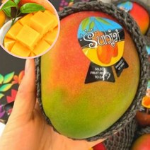고당도 페루애플망고 2kg, 1, 본상품선택
