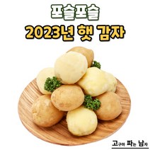 [고파남] 포슬포슬 2023년 햇 감자, 감자 대사이즈 10kg