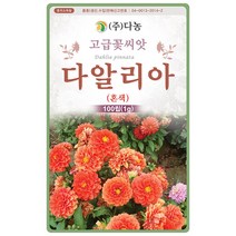 설악초 20립 - 초설초 야광초 야생화 씨앗 꽃씨 씨 꽃씨앗 야생화씨앗 고급꽃씨 고급꽃씨앗, 03_다농_다알리아(혼색)(100립)
