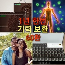 기력한알 기력보환/명절 선물용, 박스당 60환, 2박스