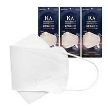 [다나아] 안경 김서림 방지 시원한 성인용 마스크 10매, KF94덴탈마스크10매
