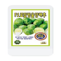 F1로양방울양배추씨 100립 양배추 씨앗 대장 KS종묘