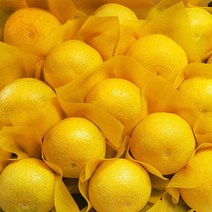 제주 직송 황금향 가정용 제주황금향 혼합과 특상품, 특상품 4.5kg(29~34과)