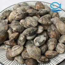바다해 냉동 피 바지락 1KG 탕 칼국수 요리 해감 조개, 바지락1kg