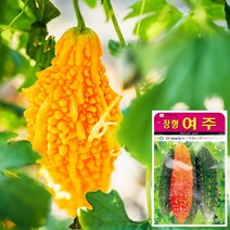 여주 씨앗 (10립), 단품