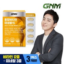 GNM자연의품격 GNM 종합비타민 미네랄 15 90정 1박스 (3개월분), 1, 없음/없음/없음