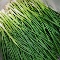 당일손질 깐 쪽파 1kg 2kg 싱싱한 쪽파 깐쪽파1kg 국내산 쪽파 깐파 실파 실파쪽파 대파 잔파 흙쪽파 깐쪽파, 1개