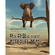 [개똥이네][중고-상] R과 하둡을 이용한 빅데이터 분석