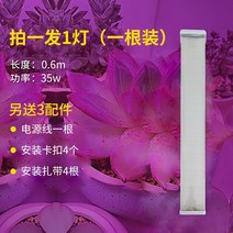 화훼단지 수경재배 성장등 음지식물 LED 식물등 집에서할수있는취미 상추키우기 바형 새싹삼 전구 다육이종류 대형화분, 방수형 0.6m35와트 5열구슬