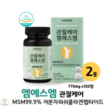 관절케어 엠에스엠 관절MSM 디메틸설폰 엔에스엠 msm피부 피쉬콜라겐 식약처인증 관절연골, 2박스, 770mg x 120정