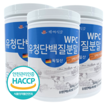 백세식품 WPC유청단백질분말100% 500g통 독일산 HACCP 인증제품, 3통, 500g