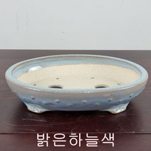 3. 손바닥정원 뽕뽕이타원 분재화분 승전분, 짙은연두색