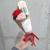 카네이션 돈꽃다발 2송이 돈다발, 레드핑크