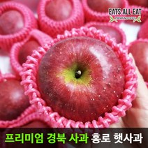 이츠올릿 경북 햇 홍로 부사 꿀 사과 5kg 정품 소과 (22-24과) 껍질째 먹는 청송 안동 문경 장수