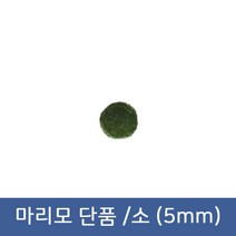 마리모 단품 소(5mm), 1개