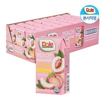 Dole 돌 과즙100% 피치 파라다이스 120ml 24팩 1박스 복숭아 주스, 피치 파라다이스 24팩