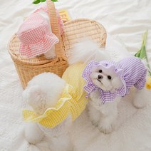 도그월드 강아지옷 체크 멜빵 호박바지 올인원 모자 포함, 체크 호박 바지 올인원 (모자포함), 노랑