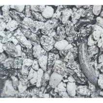 숨돌 숨쉬는 돌 700g, 회색