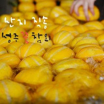 성주 참외 산지직송 가정용 로얄과 꼬마 꿀참외 하우스 3kg 5kg 10kg, 꼬마 참외3kg, 1개