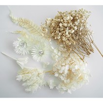 말린꽃 청첩장꽃 화이트 프리저브드 플라워박스 3color