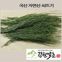 국내산 자연산 쇠뜨기 200g 쇠뜨기건초 쇠뜨기풀 청정지역 쇠뜨기즙 쇠뜨기차, 쇠뜨기건초200g