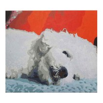 PT 주문제작 DIY 유화그리기세트 강아지 고양이 그리기 캔버스 명화그리기 숫자 페인팅, 40x50 24색