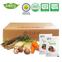 유기농 생생 야채수 110ml 90포+10포 실속포장 멀티비타민 식이섬유 나이나신 단백질 아연 칼슘 자연주의 국내산 유기농 당근 무우청 우엉 표고버섯 친환경 건강야채수 인증, 단품