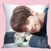 차은추 쿠션 베개 굿즈 아스트로 소품, 부드러운 양털 (베개 포함), 1