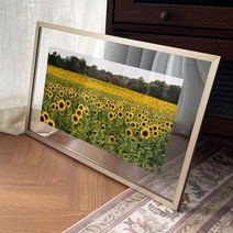 ga360-투명액자58CmX38Cm 풍수재물의해바라기풍경 골드브라운